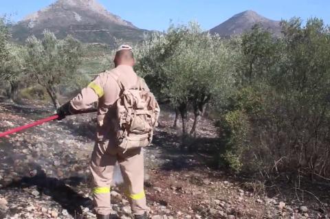 ArgolidaPortal.gr ΑΡΓΟΣ-Πυρκαγιά στα Φίχτια Αργολίδας σε αγροτοδασική έκταση