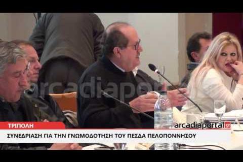 ΑrcadiaPortal.gr Επιτροπή Διαβούλευσης της Περιφέρειας Πελοποννήσου